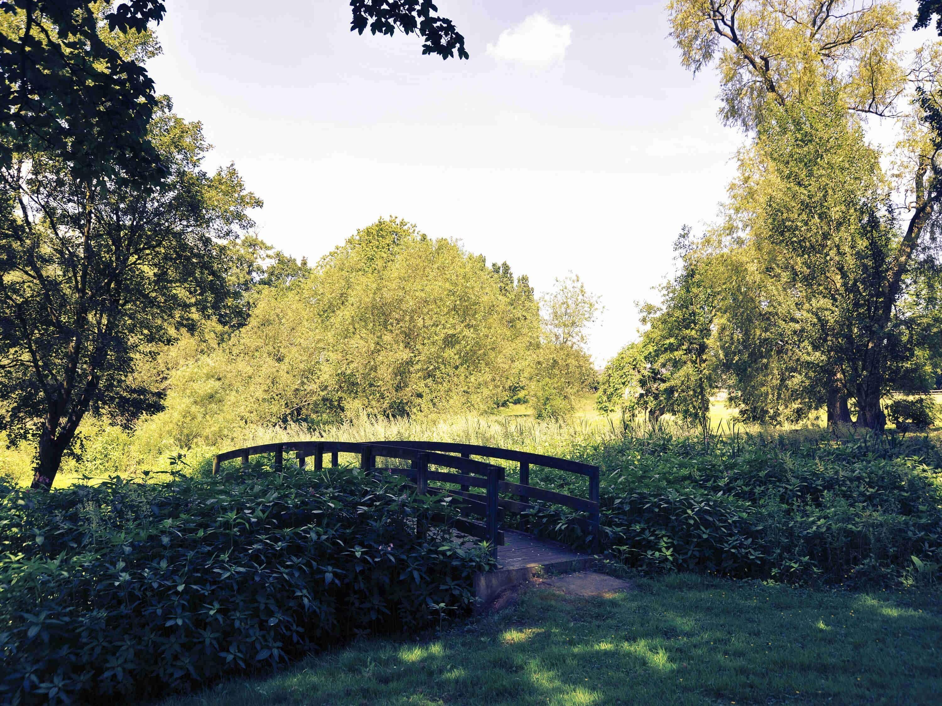 Un pont en bois, situé dans un parc verdoyant et luxuriant, bordé d’arbres touffus, sous un ciel dégagé.