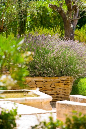 Property grounds - Hotel Novotel Aix en Provence Pont de l'Arc Fenouillères (Aix-en-Provence)