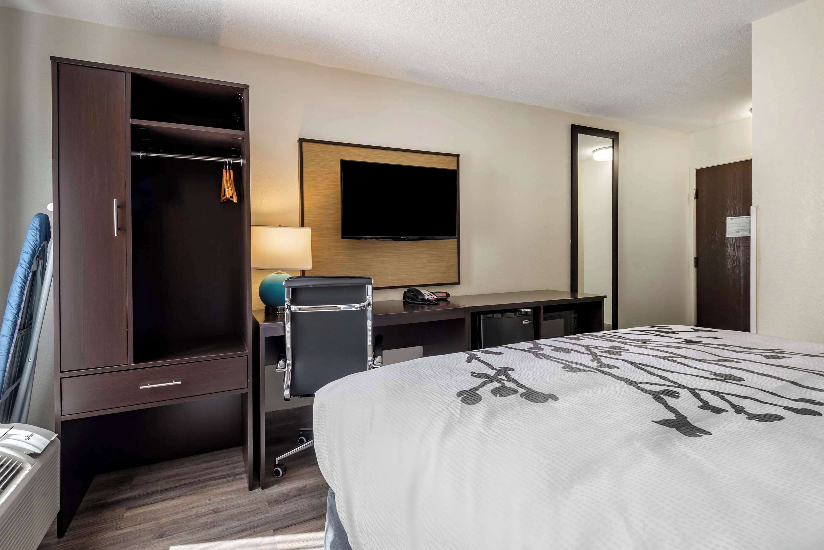 Una habitación de hotel con cama, escritorio, armario, televisor y espejo.