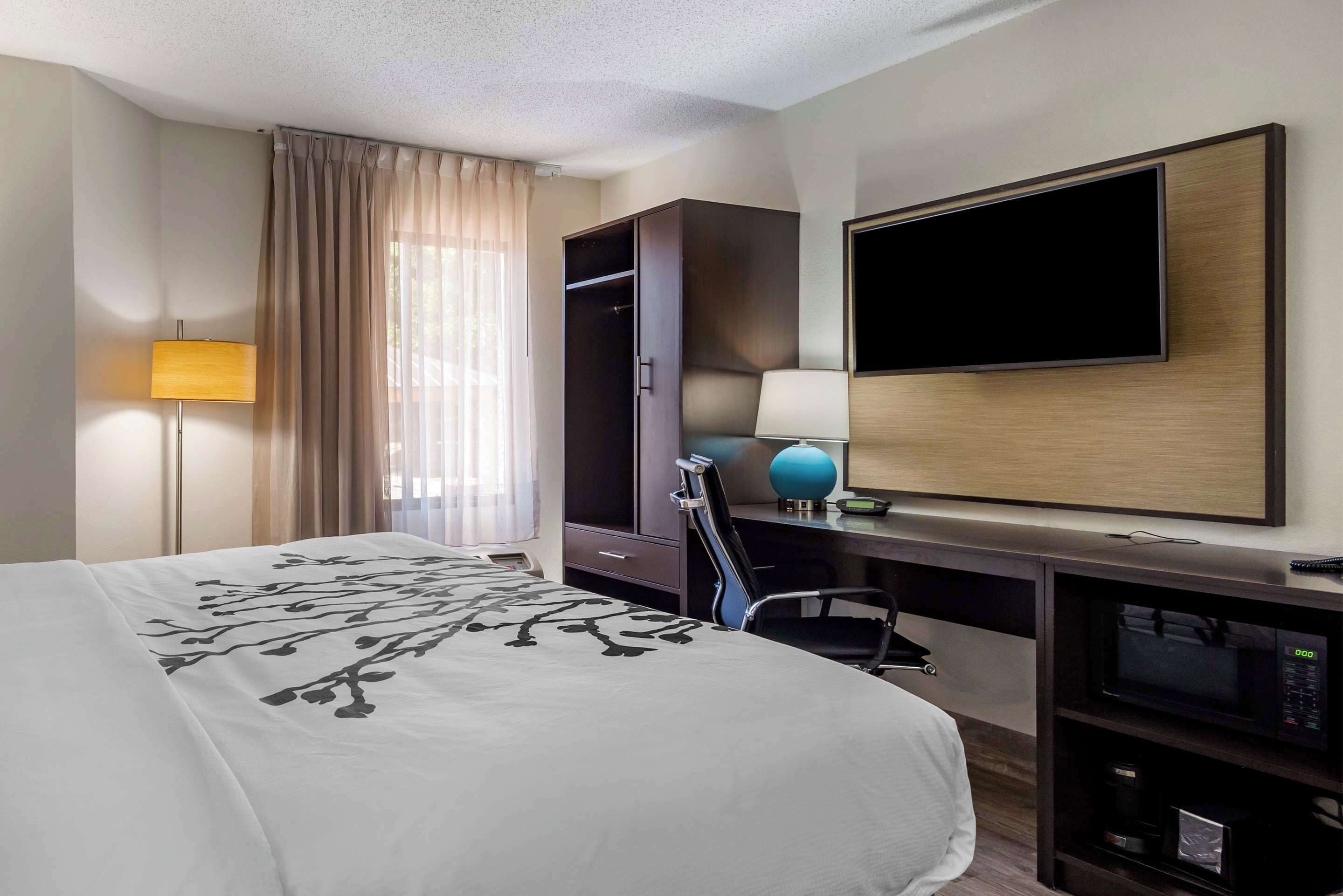 Una habitación de hotel con una cama, un escritorio con computadora, un televisor y un armario.