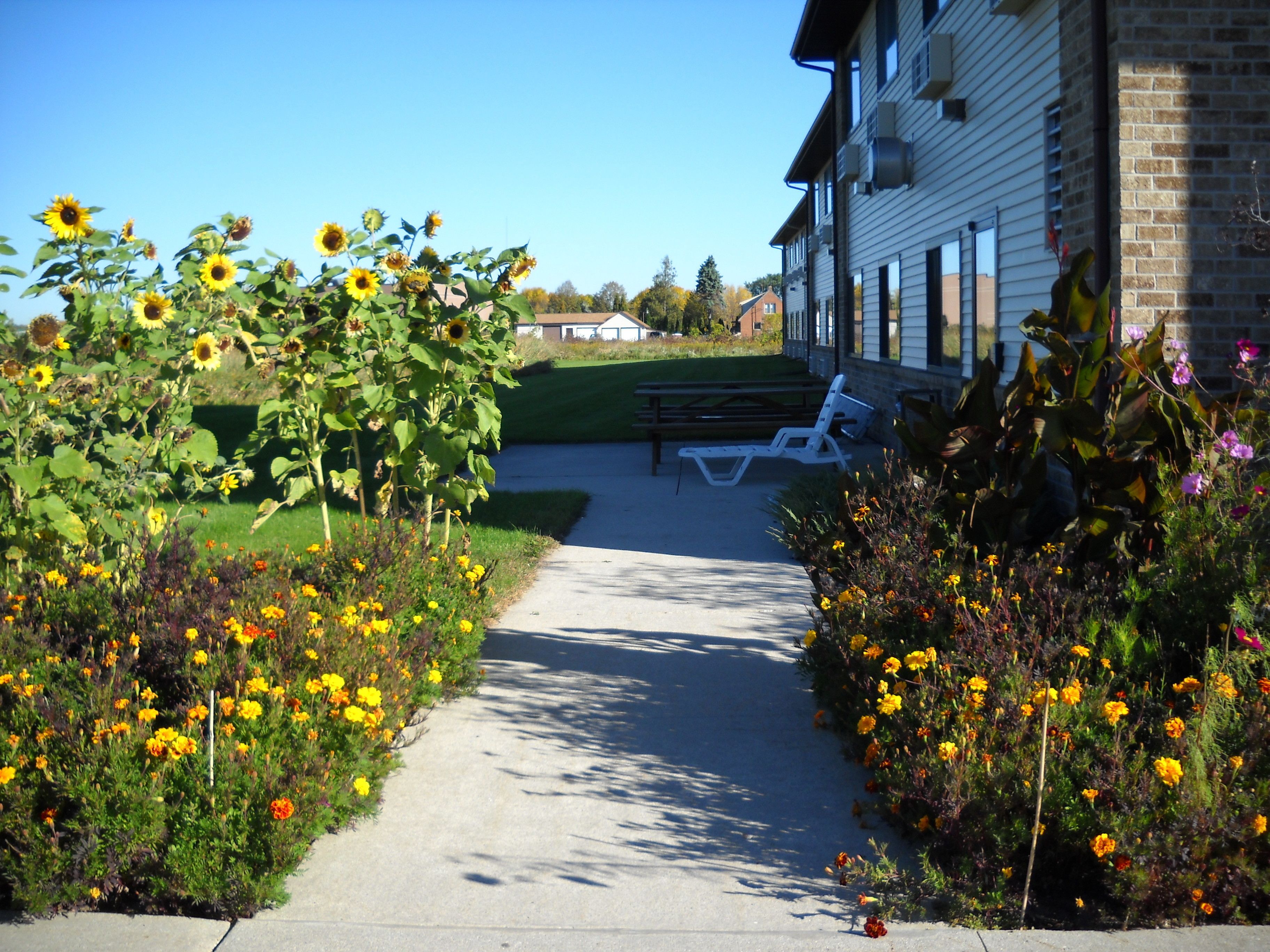 إطلالة على الحديقة