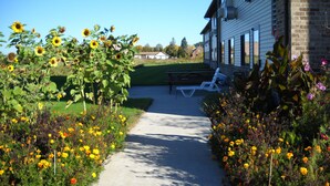 A pathway leading to a building with a patio area, surrounded by sunflowers and marigolds. - Quality Inn Sheboygan North I-43 (Sheboygan)