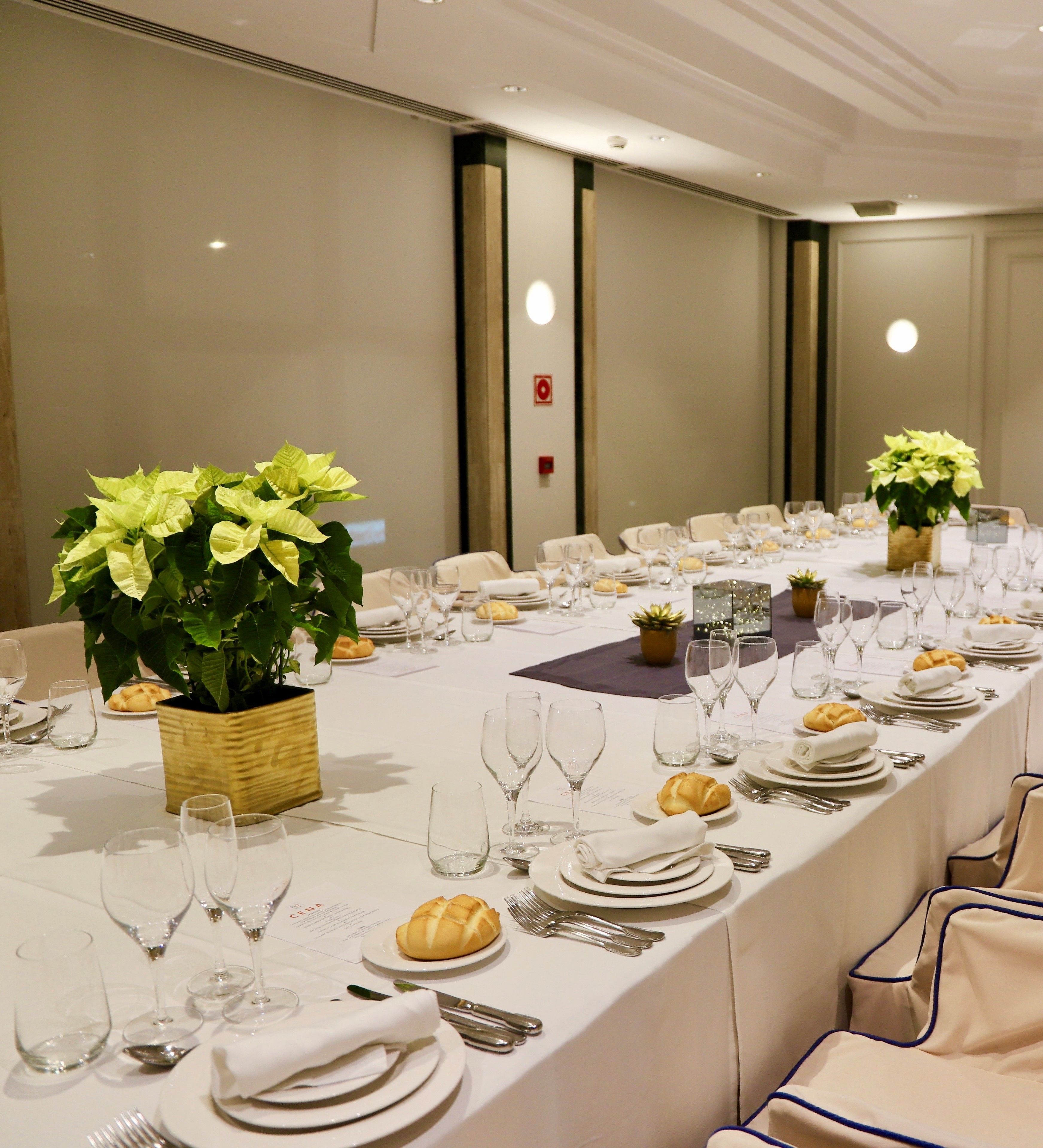 Foto - Hotel Olid