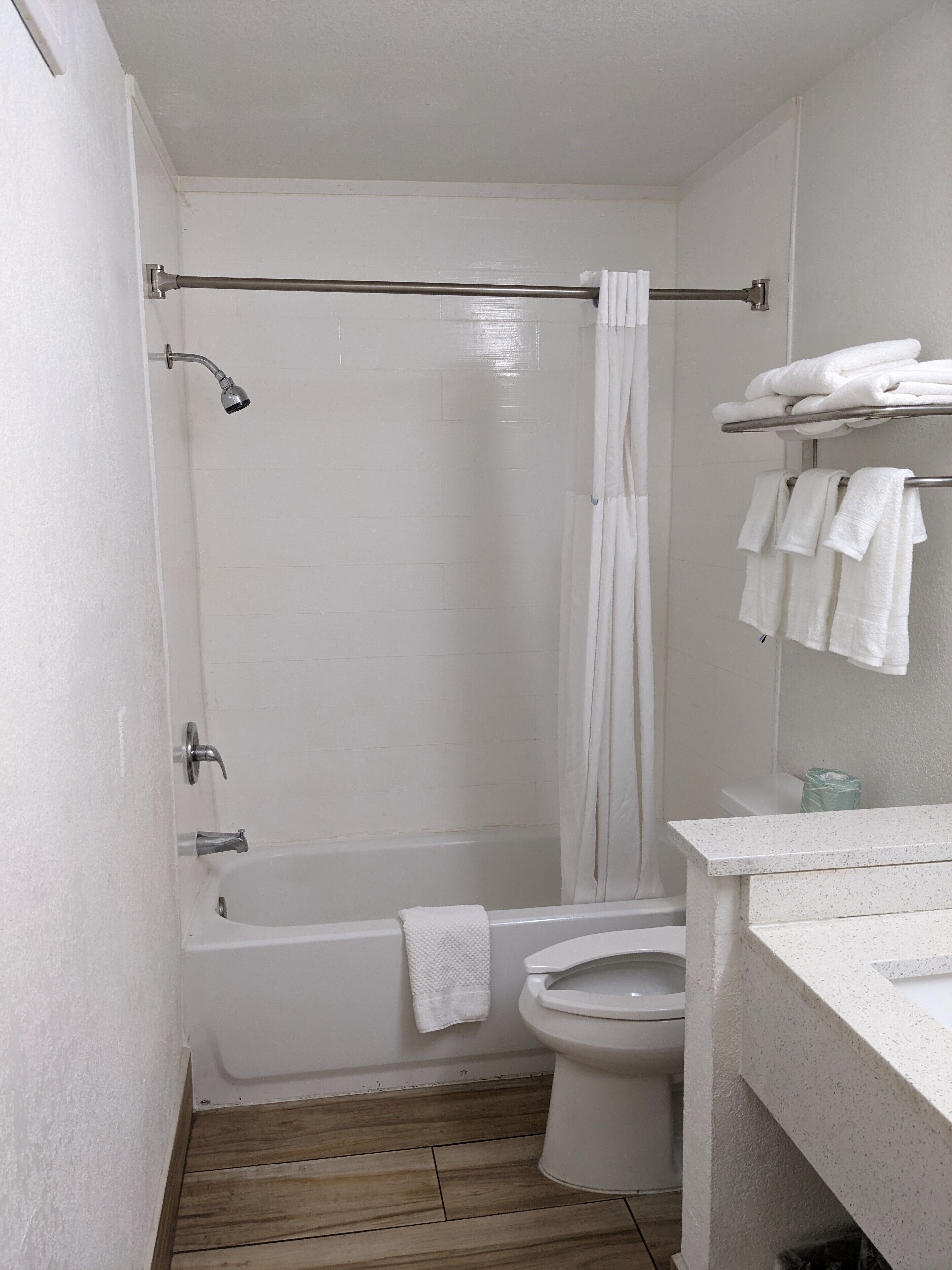 A bathroom with a bathtub, toilet, and a shower curtain.