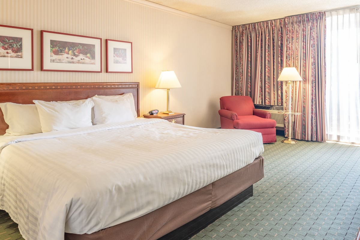 Standard Room, 1 King Bed | Desk, laptop workspace, blackout drapes, iron/ironing board