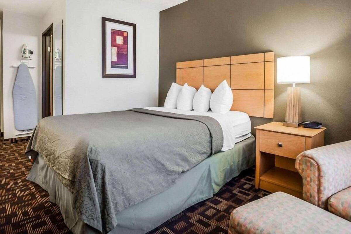 A hotel room with a bed, a bedside table with a lamp, a chair, a framed picture on the wall, and a large vase.