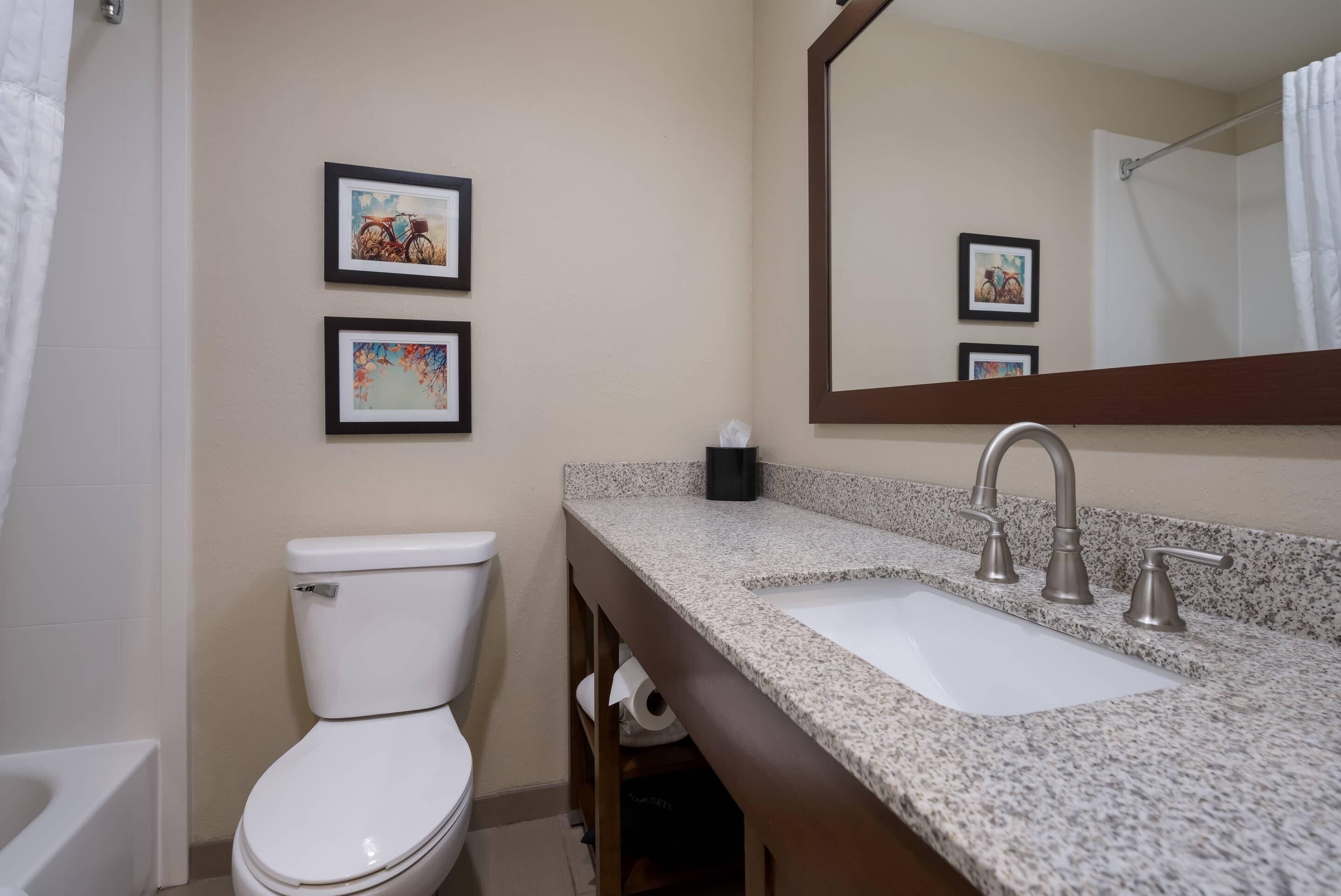 Un baño con inodoro, lavabo y dos cuadros en la pared.