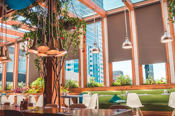 2 restaurantes, se sirven desayunos, comidas, cenas y cocina asiática