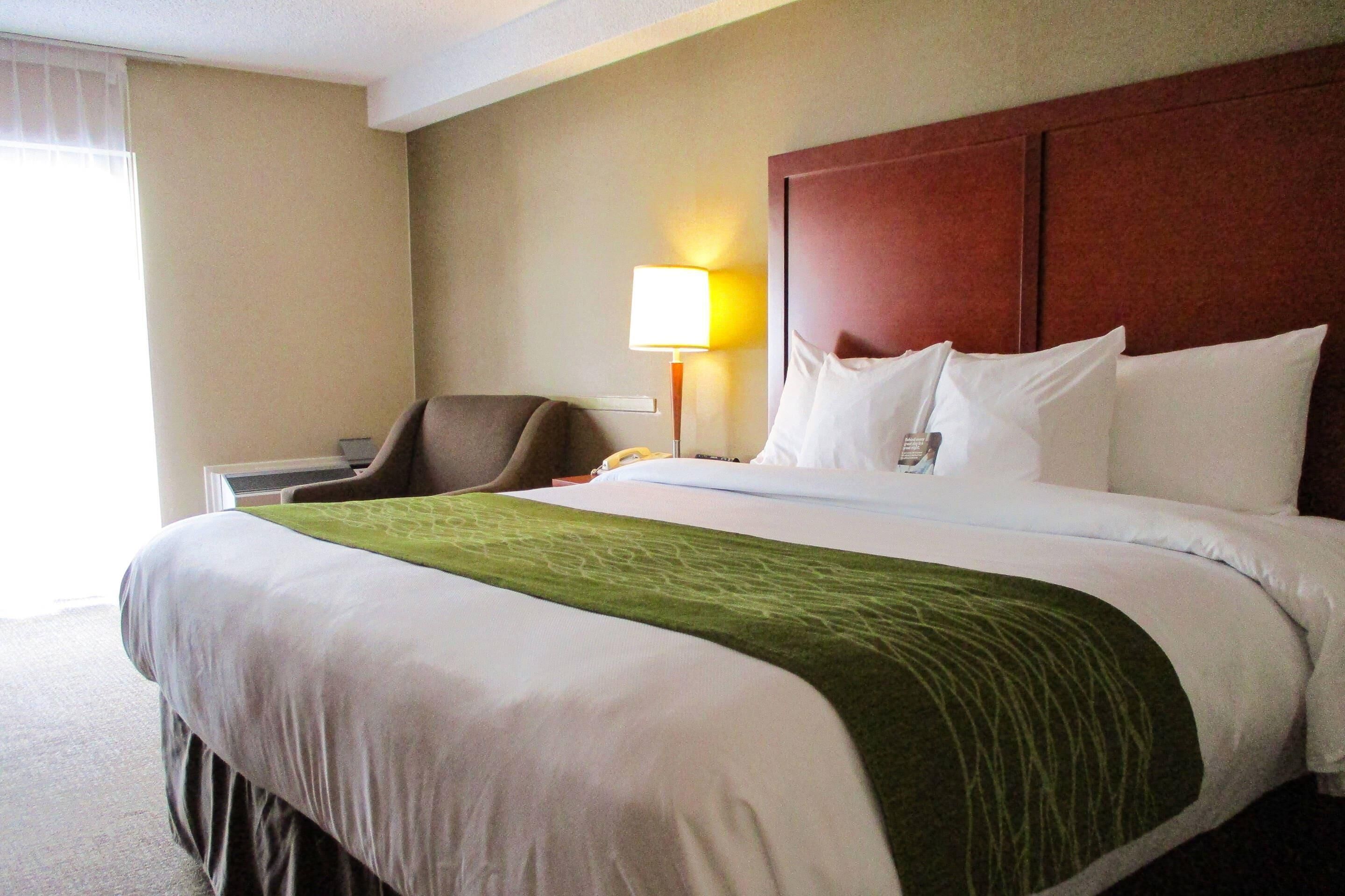 Room, 1 King Bed, Non Smoking | Premium bedding, individually furnished, desk, laptop workspace