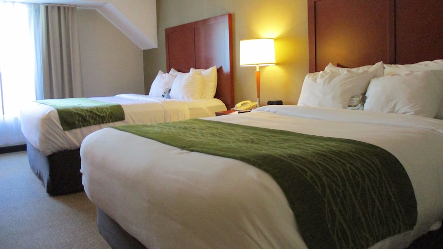 Comfort Inn Dartmouth