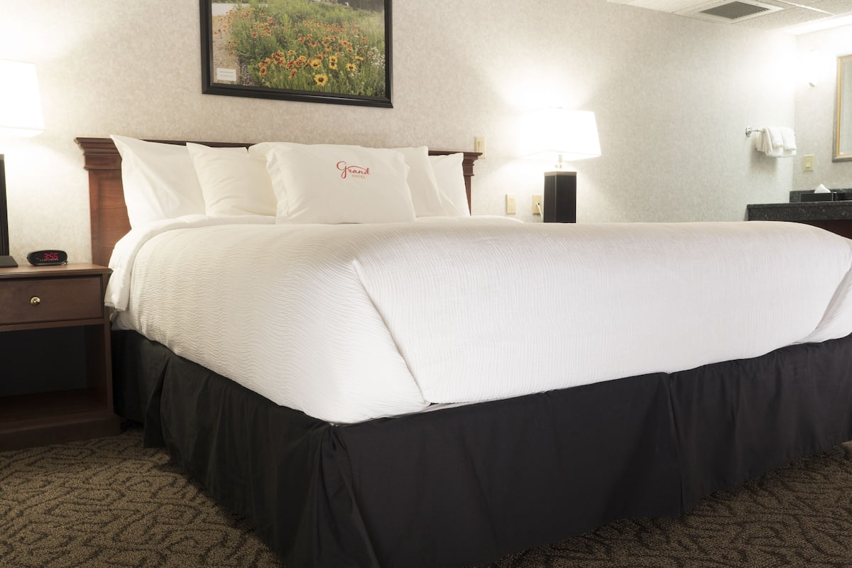 Una habitación de hotel con una cama grande, dos mesitas de noche con lámparas, un cuadro enmarcado en la pared y suelo alfombrado.