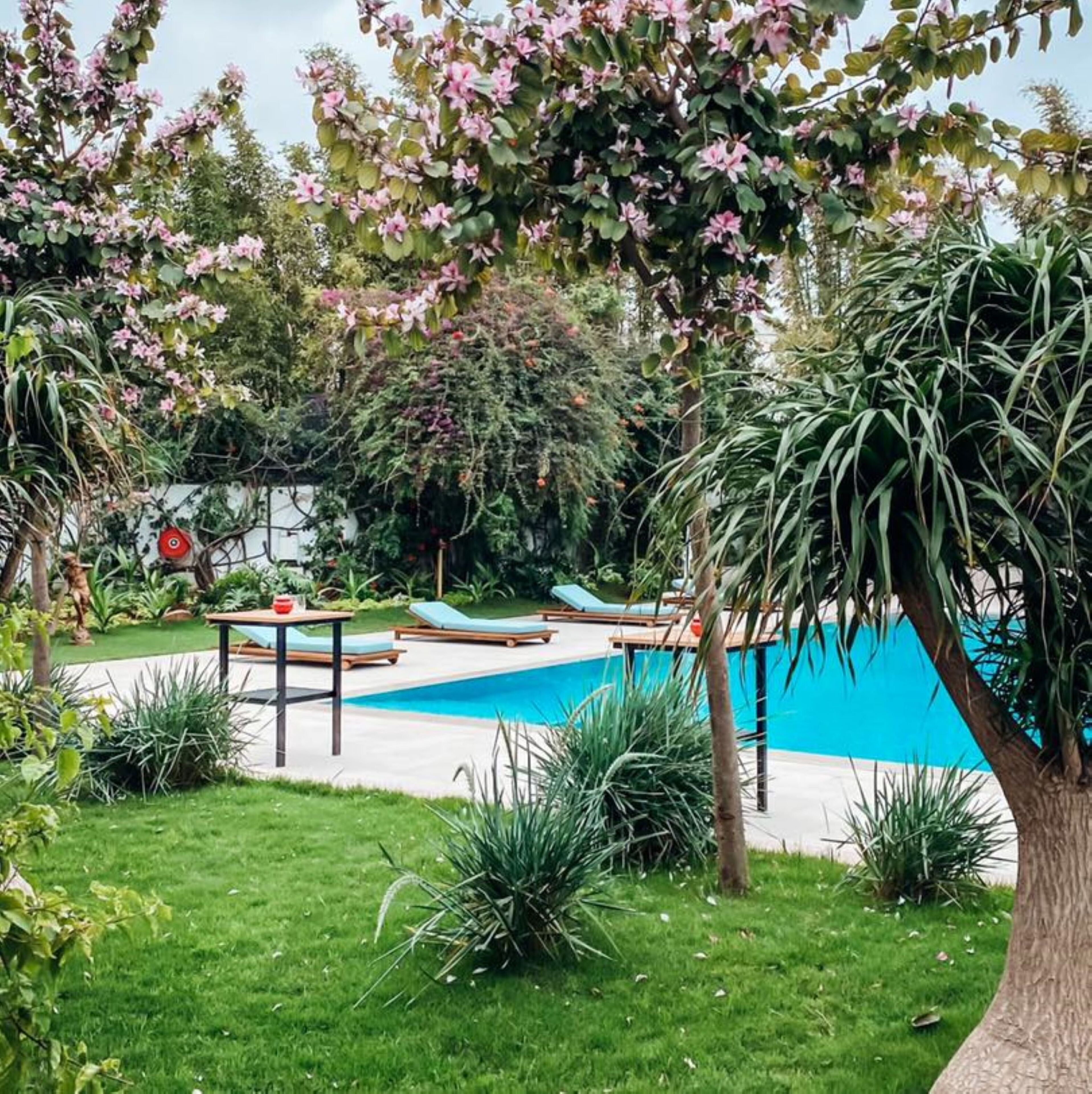 suite (ambassador suite) | terrace/patio