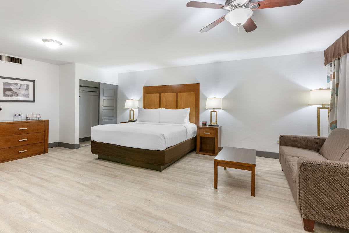 Premium bedding, individually furnished, desk, laptop workspace