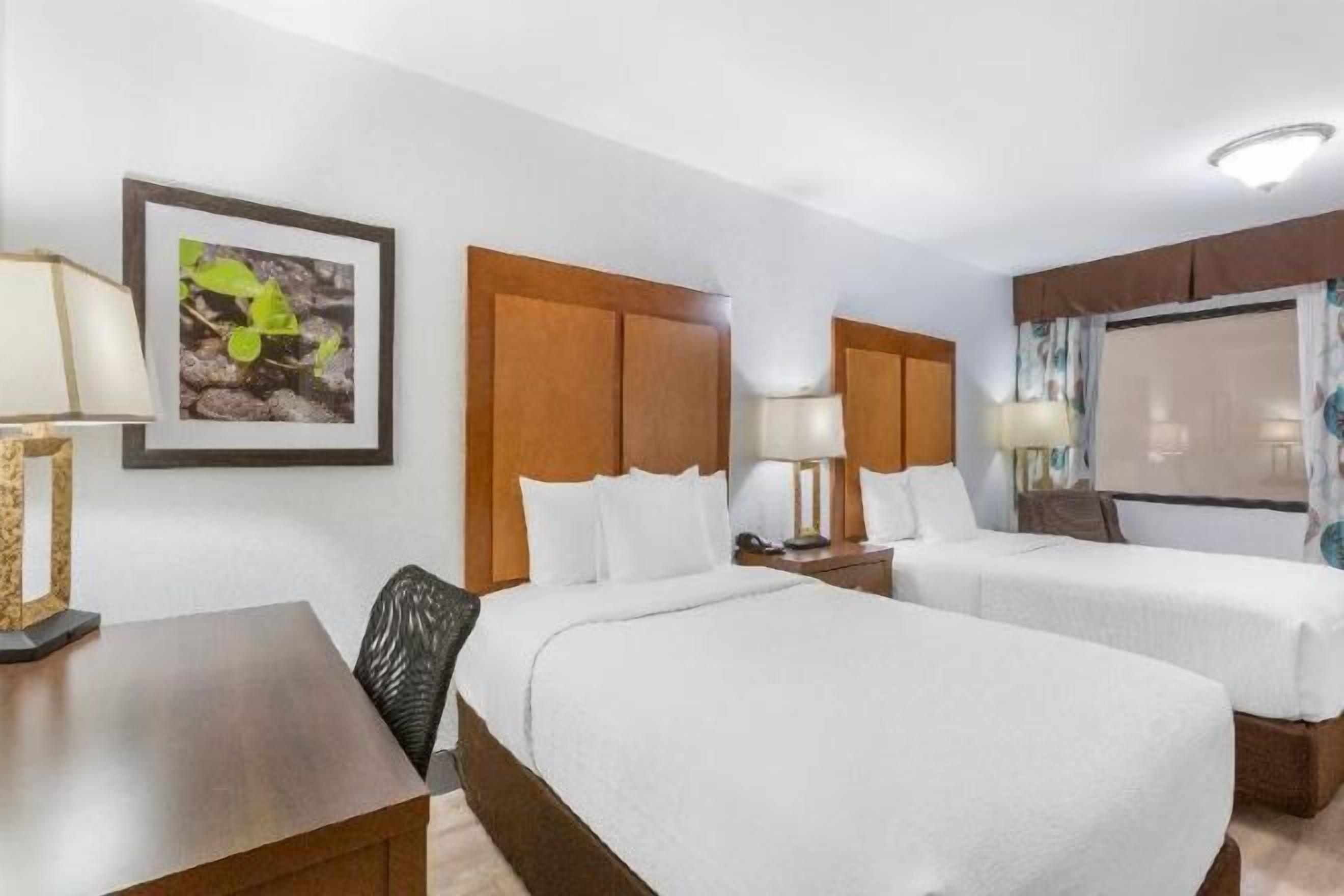 Roupas de cama premium, individualmente mobiliados, escrivaninha