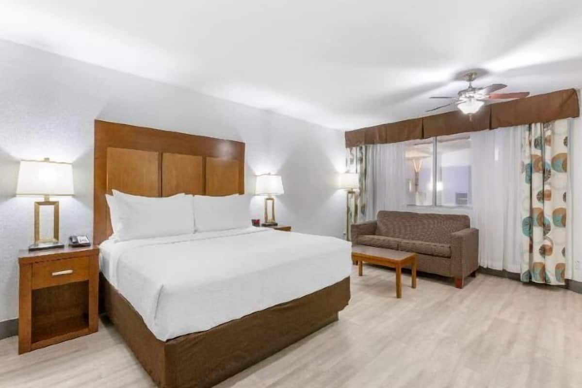 Premium bedding, individually furnished, desk, laptop workspace