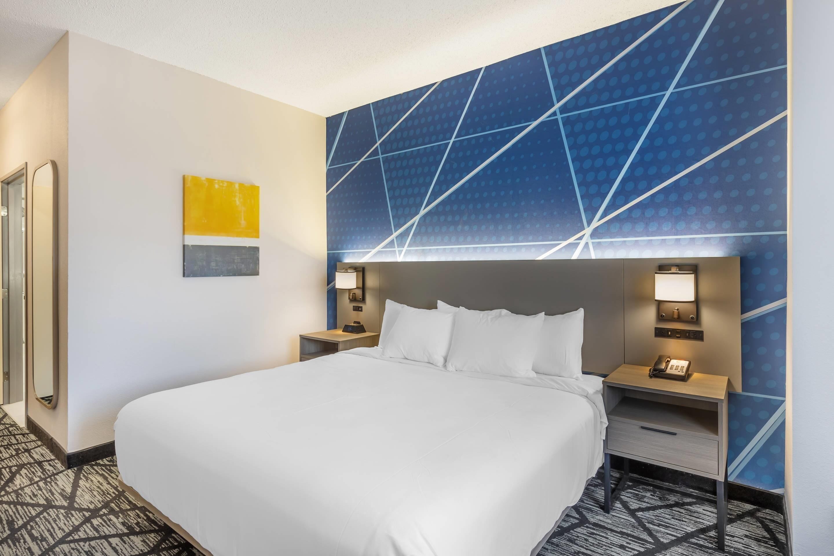 Room, 1 King Bed, Accessible, Non Smoking | Premium bedding, down duvets, desk, blackout curtains