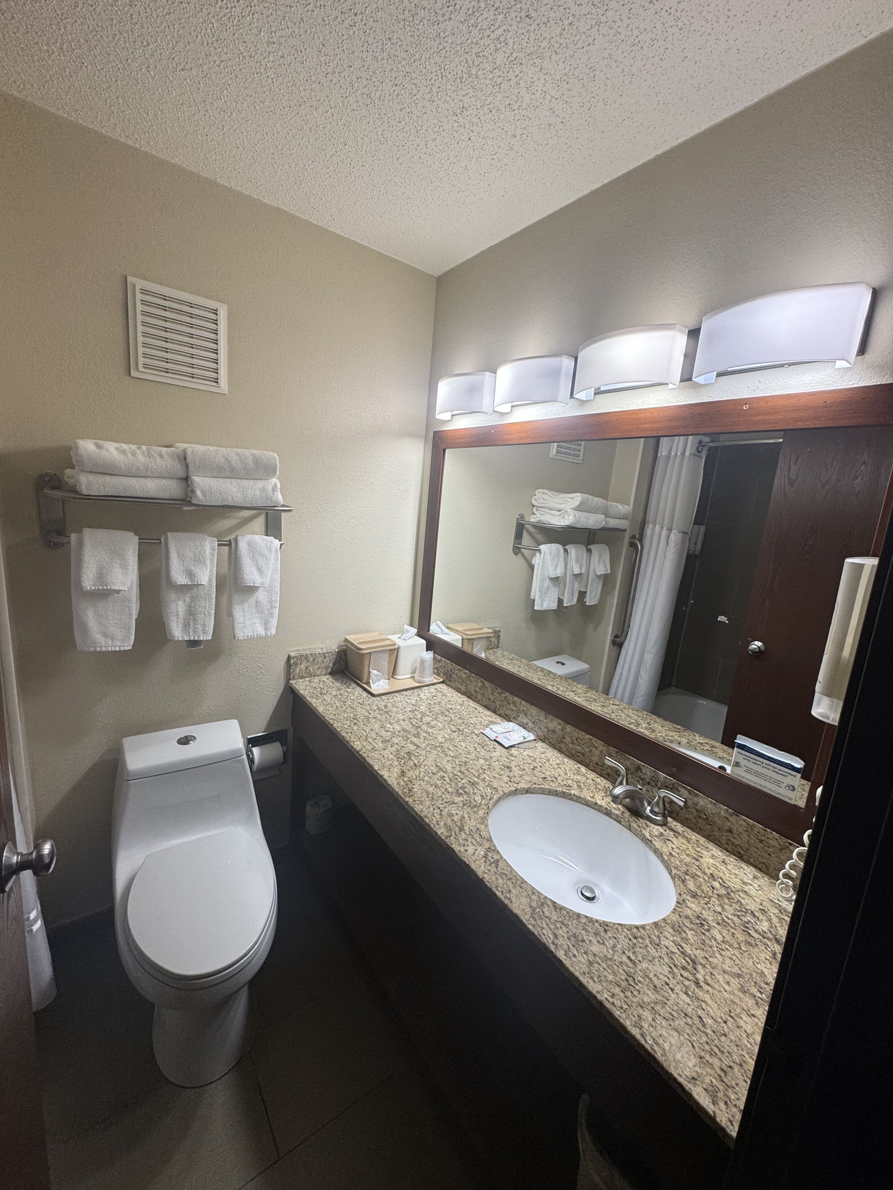 Une salle de bain avec des toilettes, un lavabo et un miroir. On peut voir des serviettes sur un porte-serviettes et un rideau de douche dans le reflet du miroir.