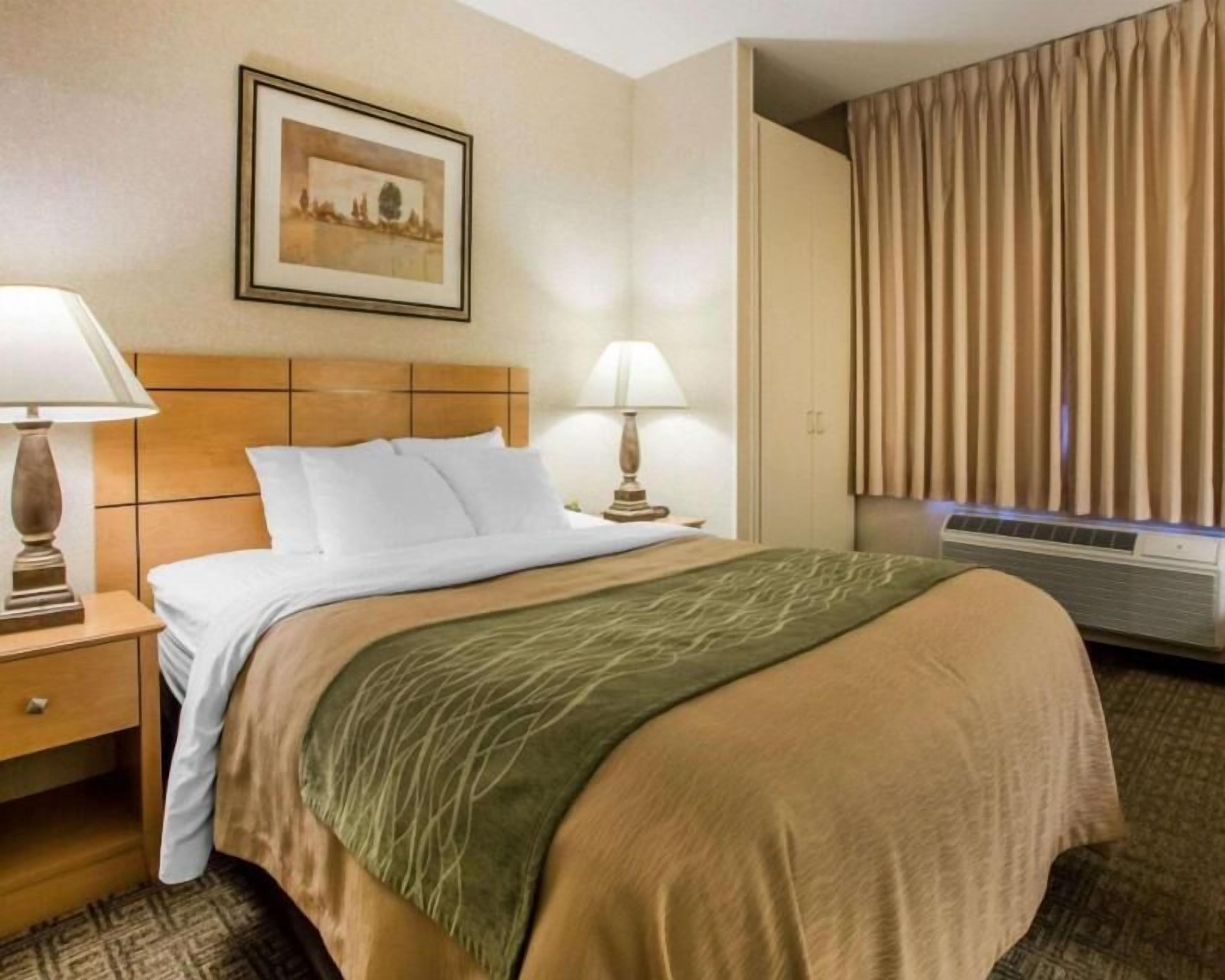 Premium bedding, pillow-top beds, in-room safe, desk