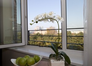 Superior-Doppelzimmer | Ausblick vom Zimmer