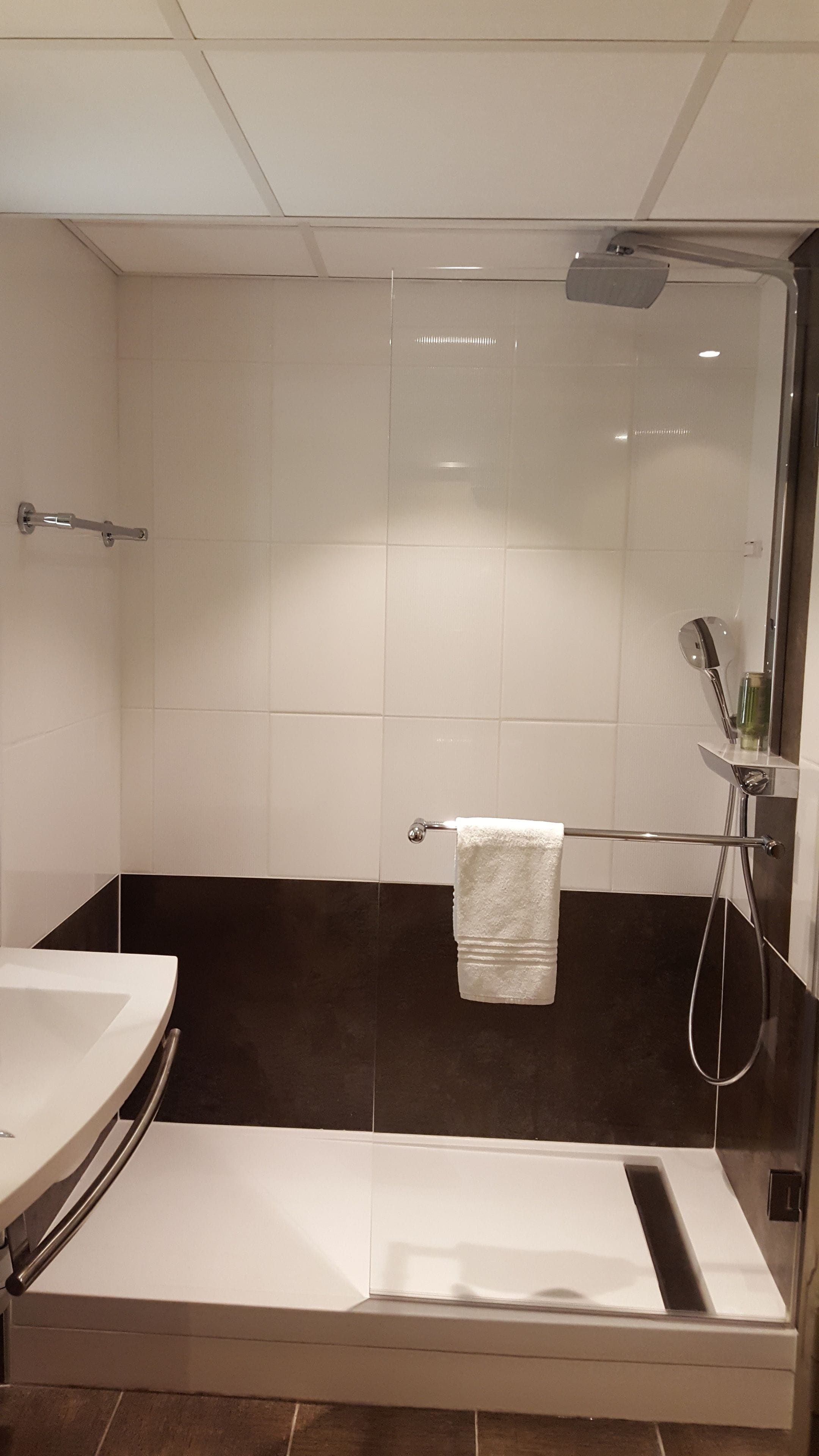 A modern bathroom with a glass shower enclosure, a white sink, and a towel rack.