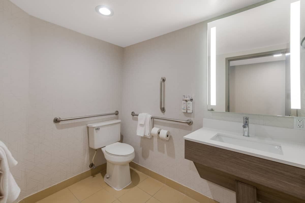 Bathroom features a toilet, sink, and handrail, with a mirror above the sink and a towel on the wall.