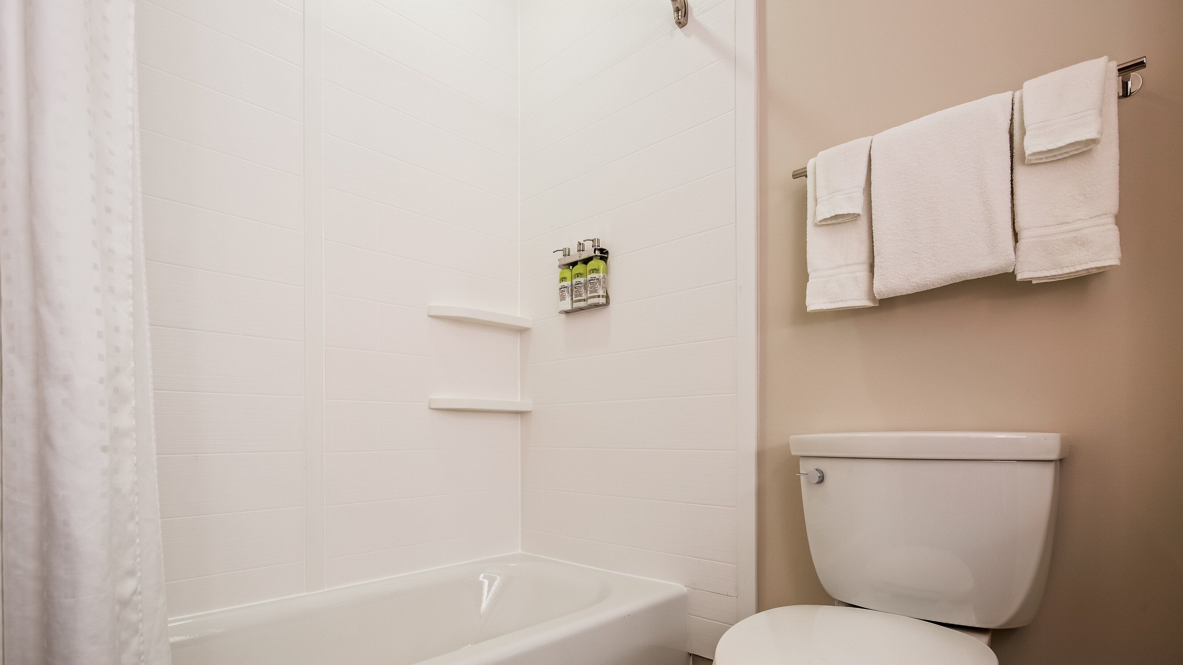 combined shower/bathtub, free toiletries, hair dryer, towels