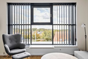 Standard Room, 1 King Bed, Non Smoking, Kitchen (with Sofabed)