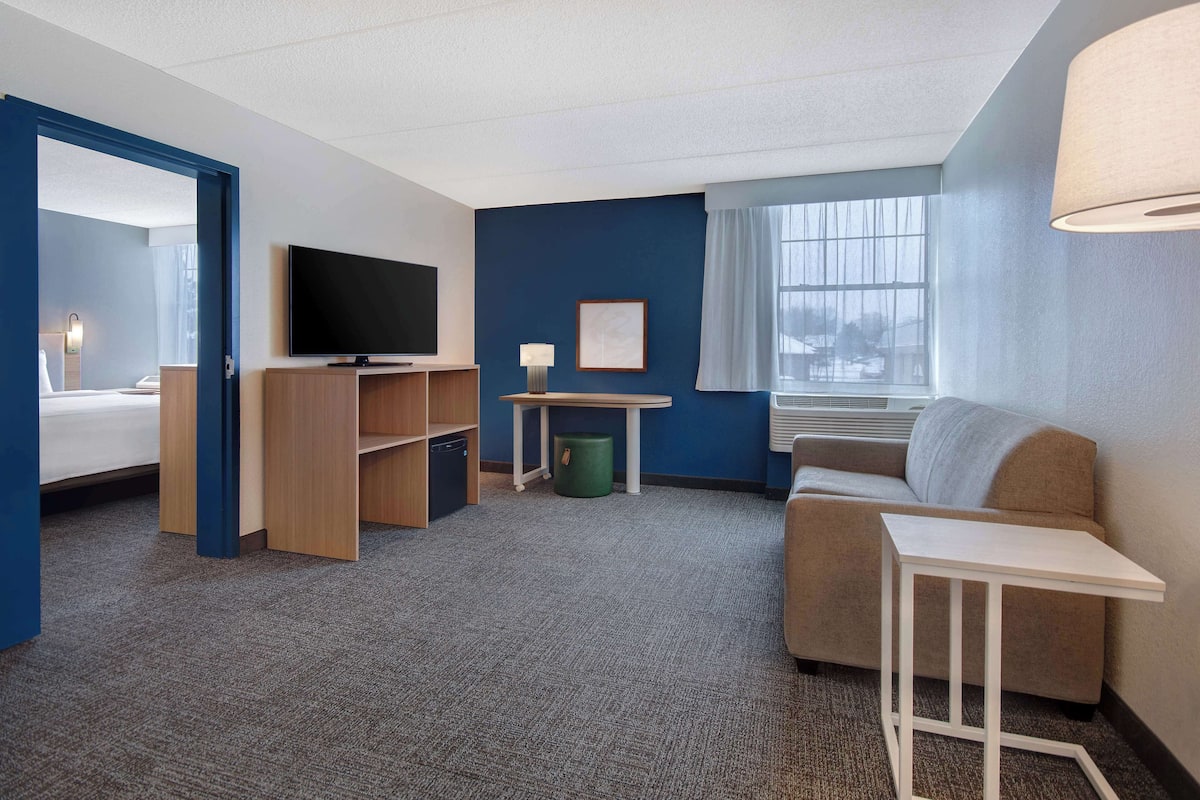 suite, 1 king bed | living area | 55-inch plasma tv with cable channels, tv, netflix