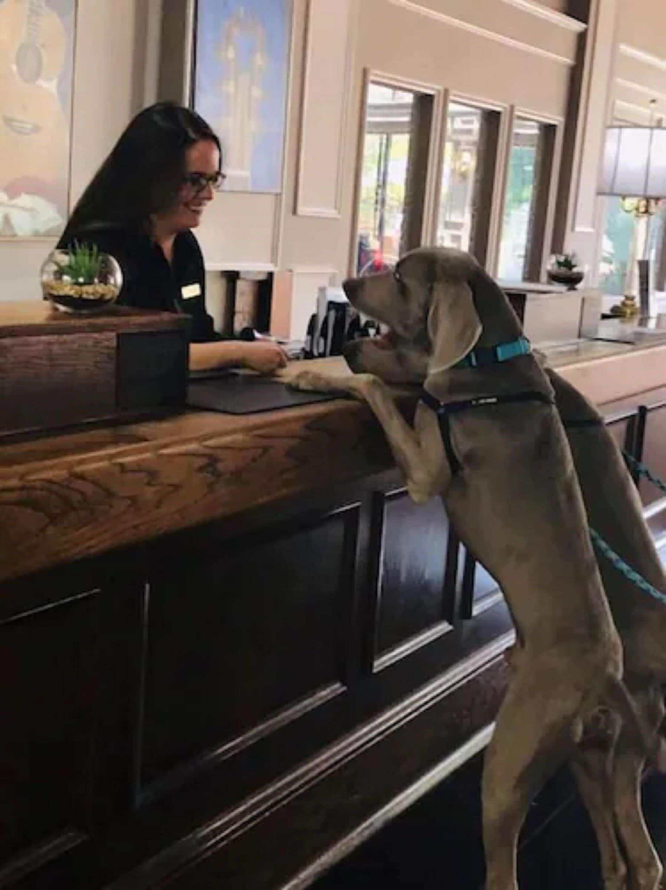 Photo - Millennium Hotel Maxwell House Nashville