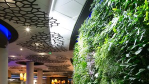A lobby with a green vertical garden wall, patterned ceiling, and seating area.