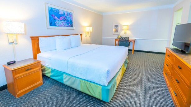 A hotel room with a bed, bedside table, lamp, desk, chair, and TV.