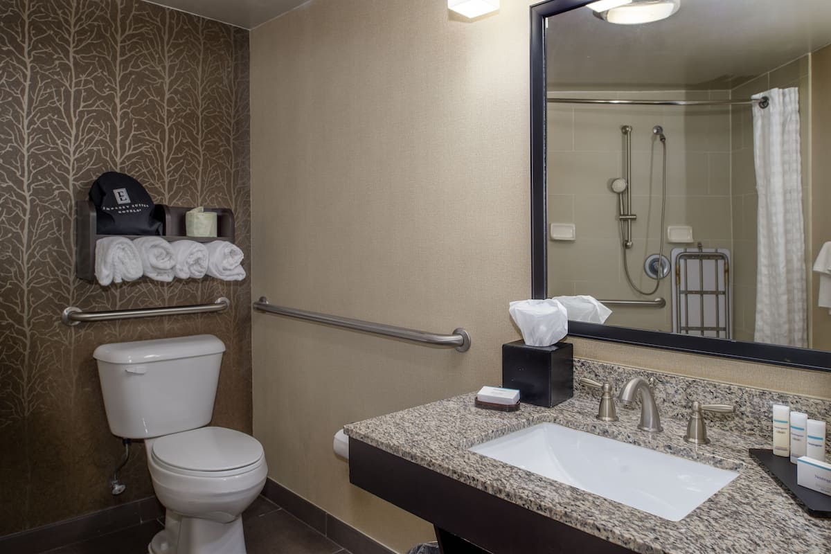 free toiletries, hair dryer, towels