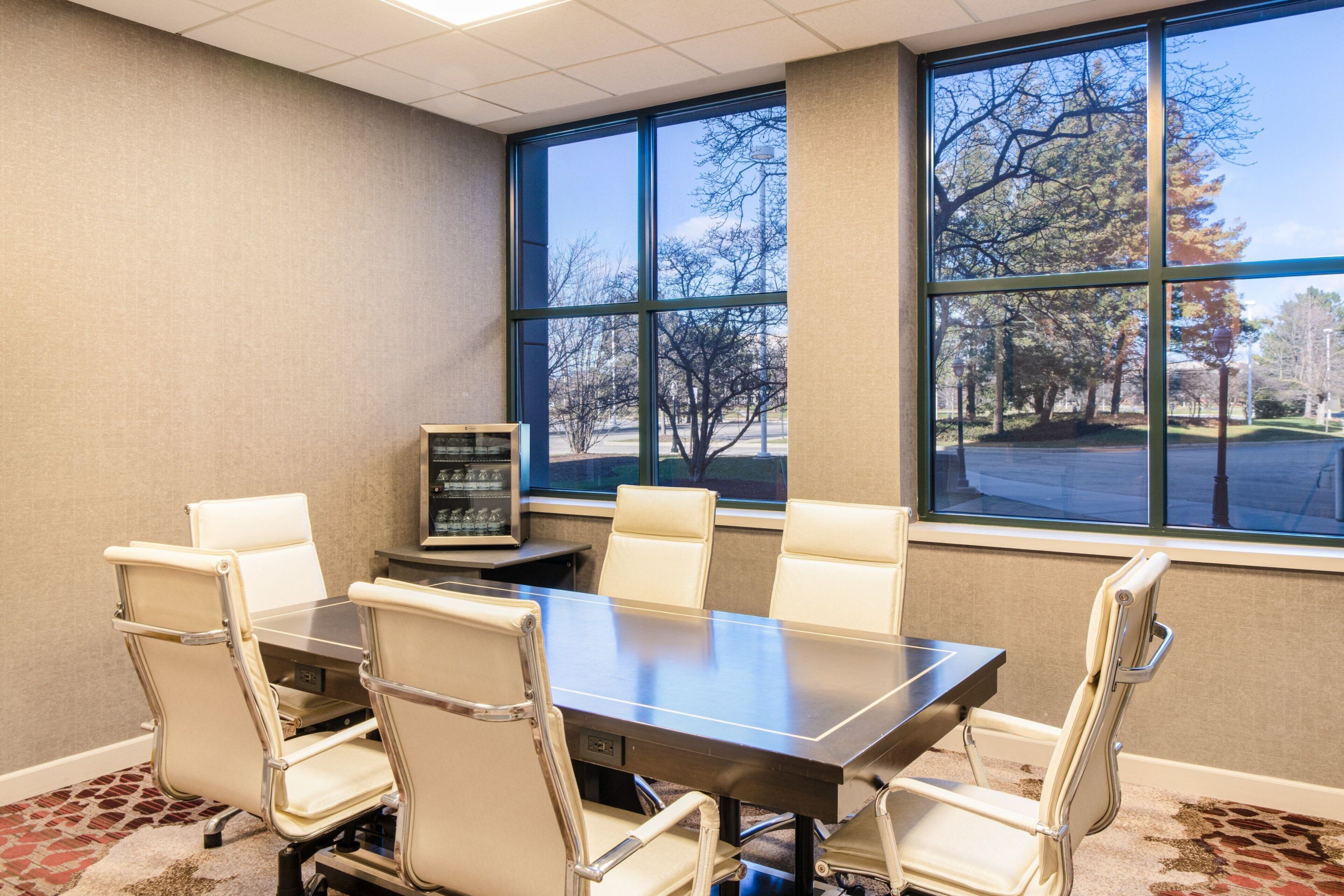 A conference room with a large table and six chairs, large windows with a view of trees and a parking lot.