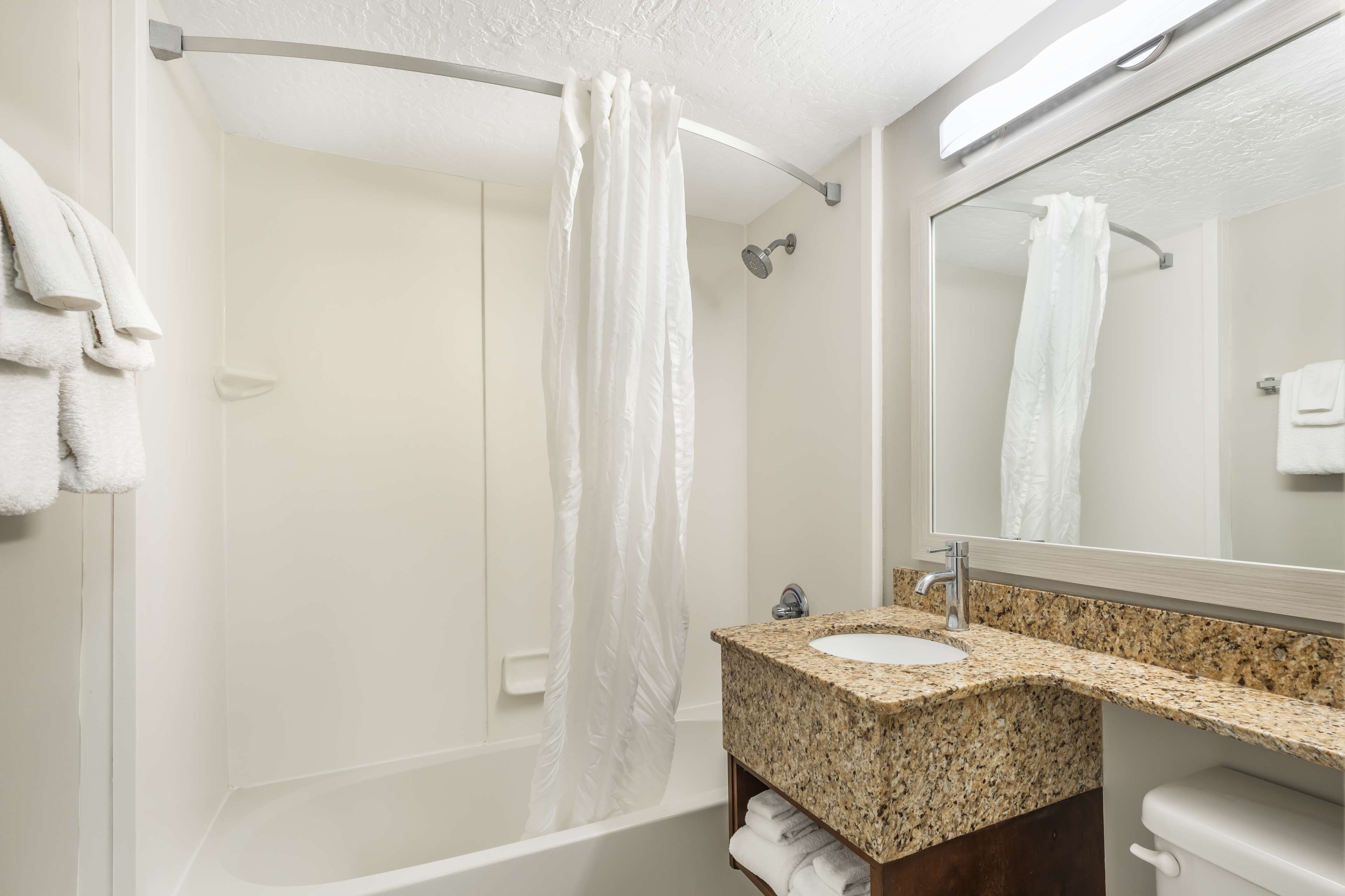 Une salle de bain moderne équipée d’une baignoire, d’une douche, d’un lavabo et de toilettes.