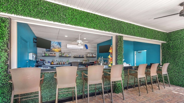 Un área de bar al aire libre con pared verde, detalles azules y sillas de mimbre.
