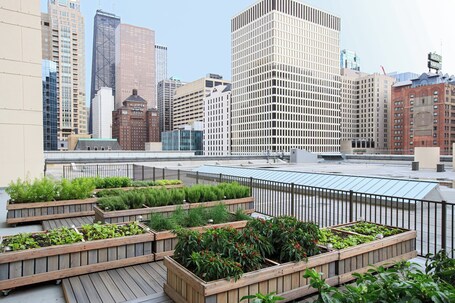 Chicago Marriott Downtown Magnificent Mile - Image 141