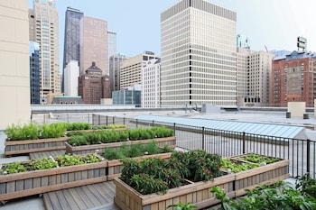 Garden at Chicago Marriott Downtown Magnificent Mile