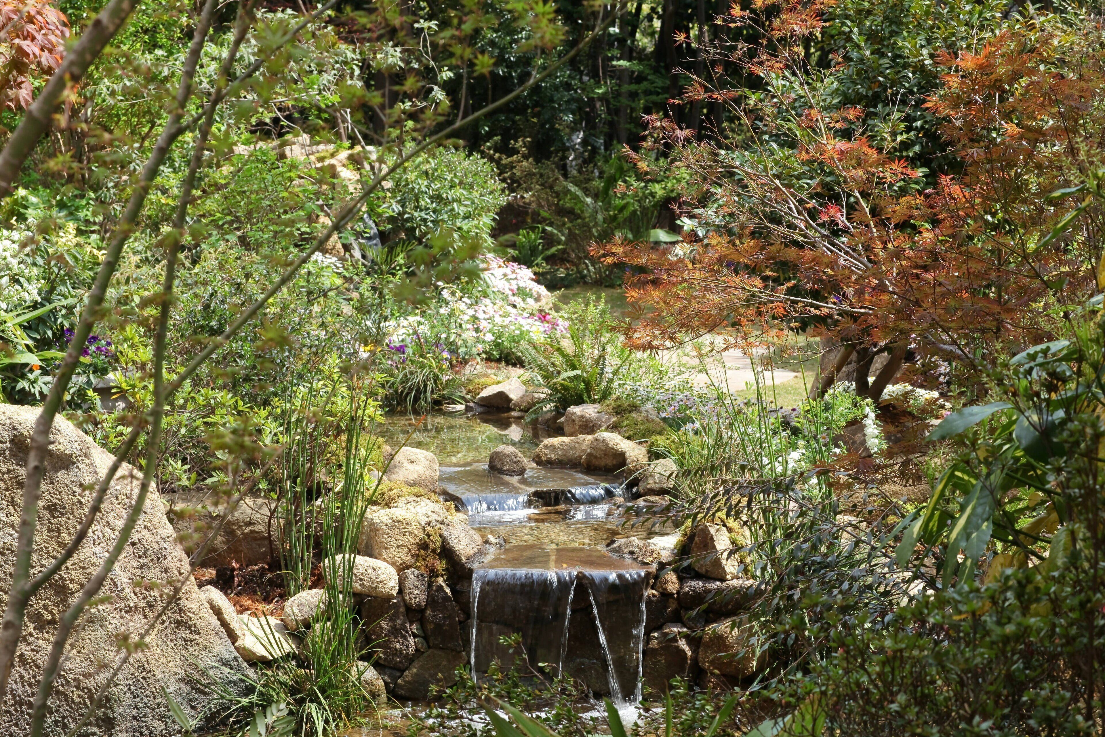 A small waterfall surrounded by rocks and various plants.