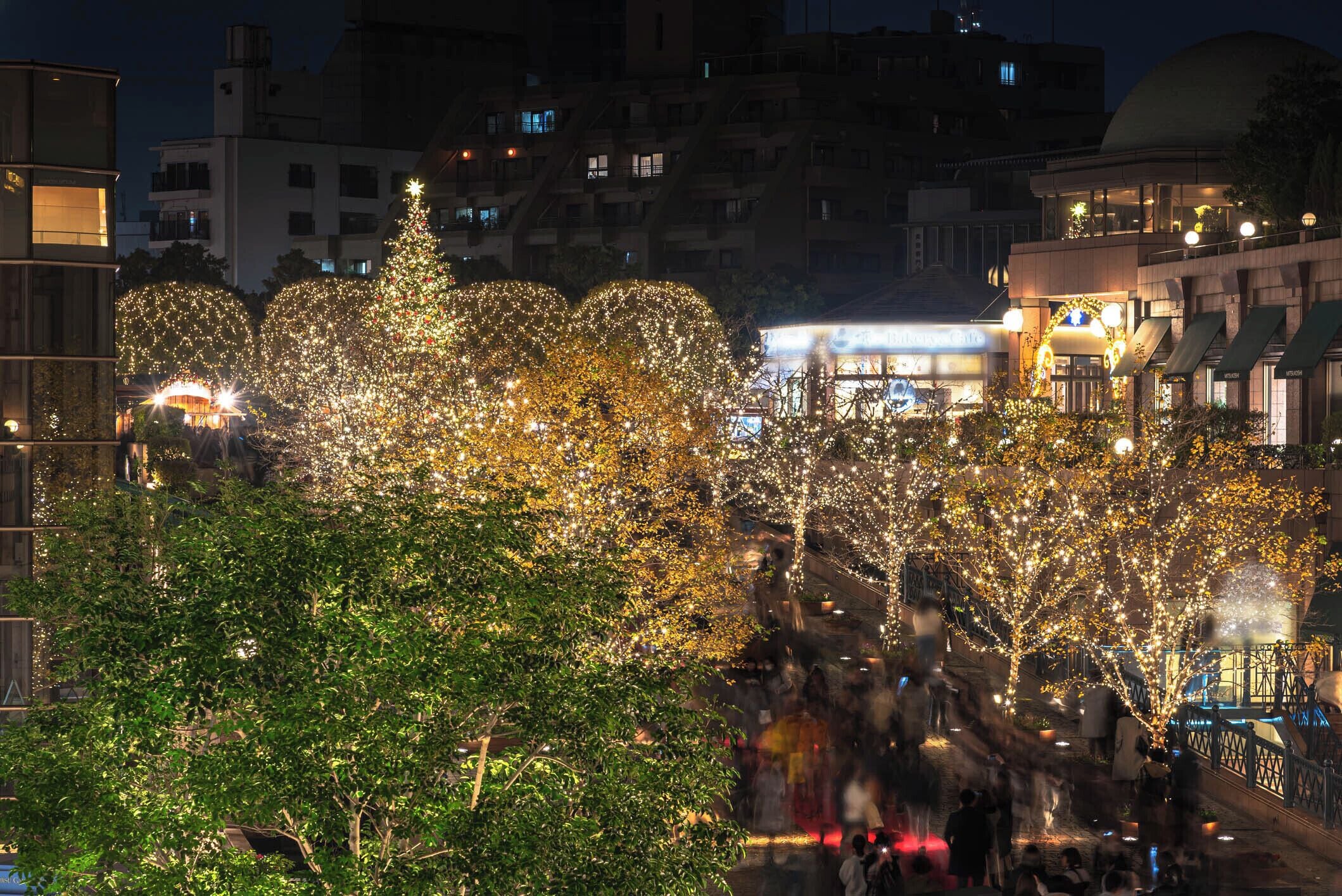 A nighttime cityscape with illuminated trees and buildings.