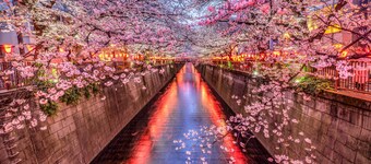 The Westin Tokyo