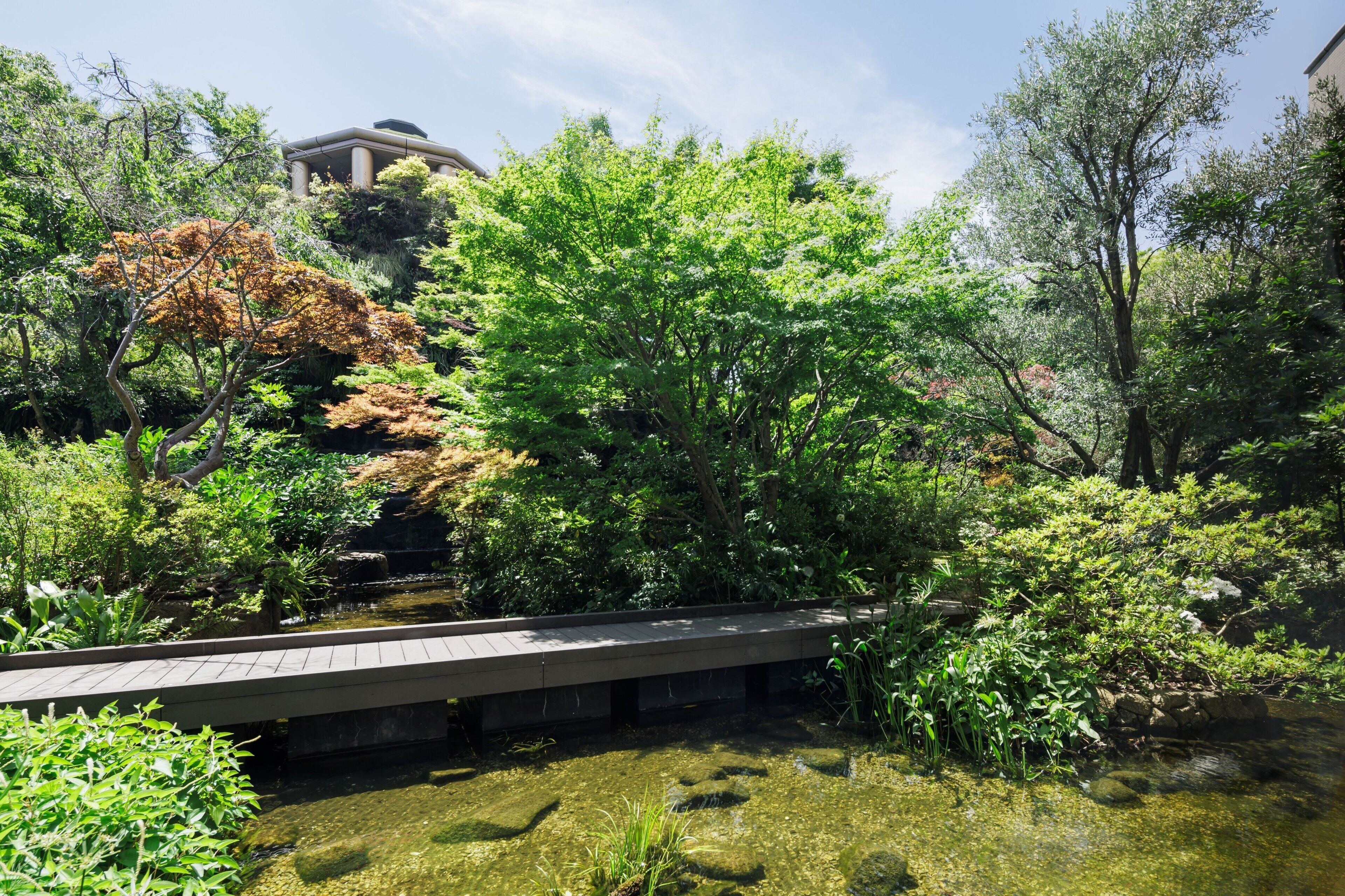 Foto - The Westin Tokyo