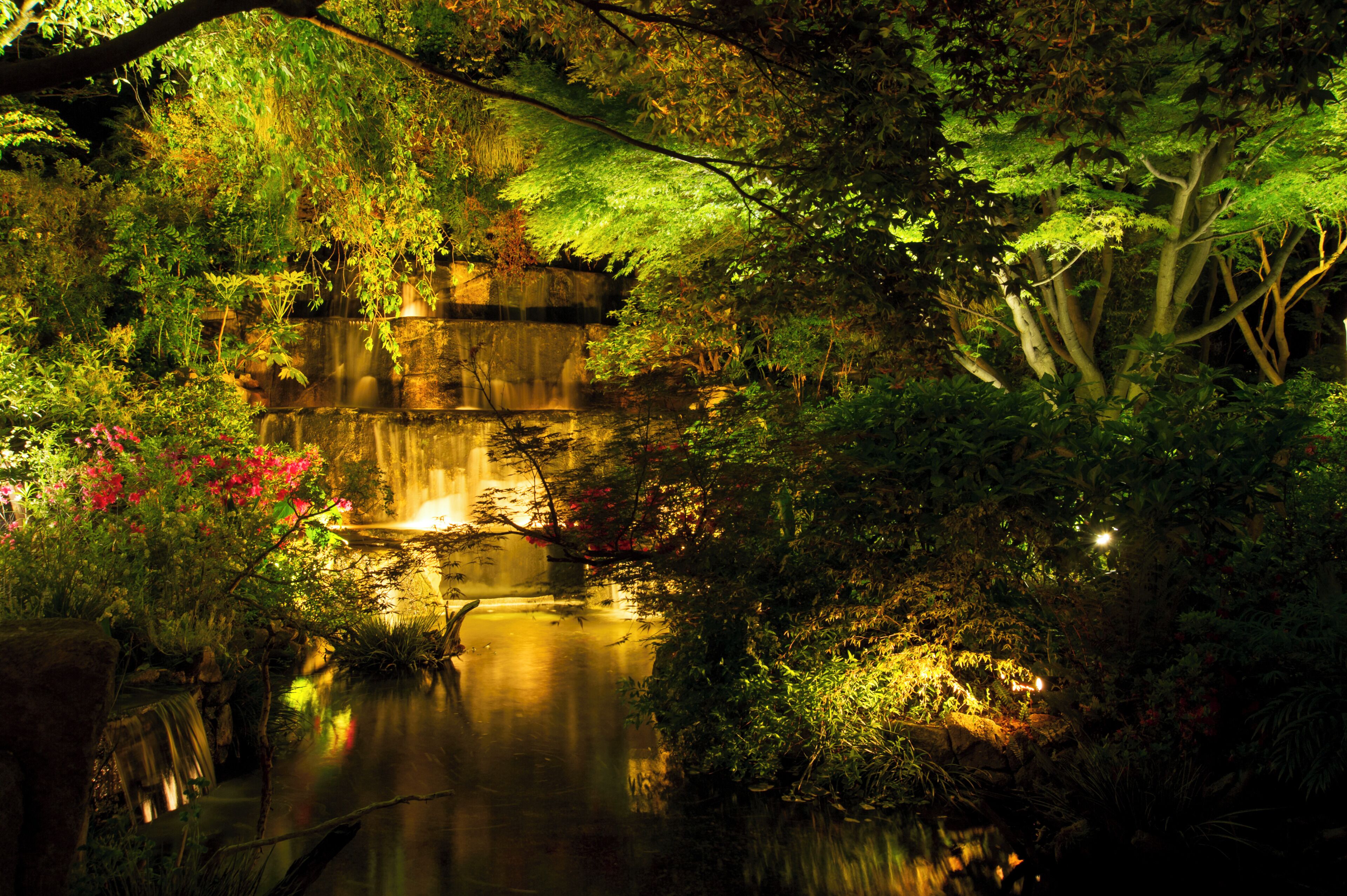 Foto - The Westin Tokyo