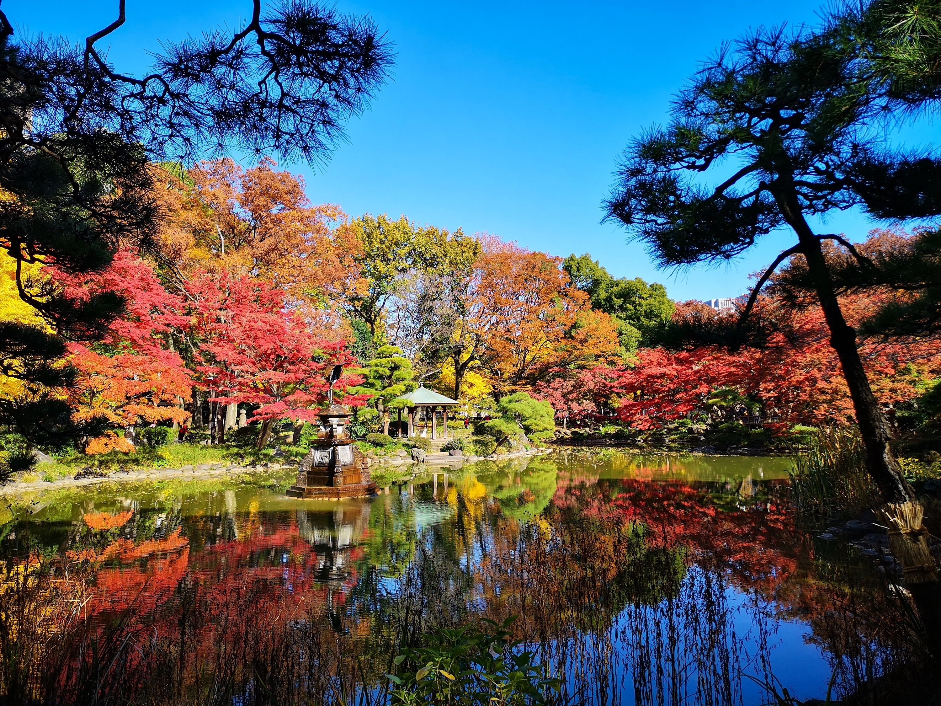 A serene garden with a pond, a gazebo, and autumn-colored trees.