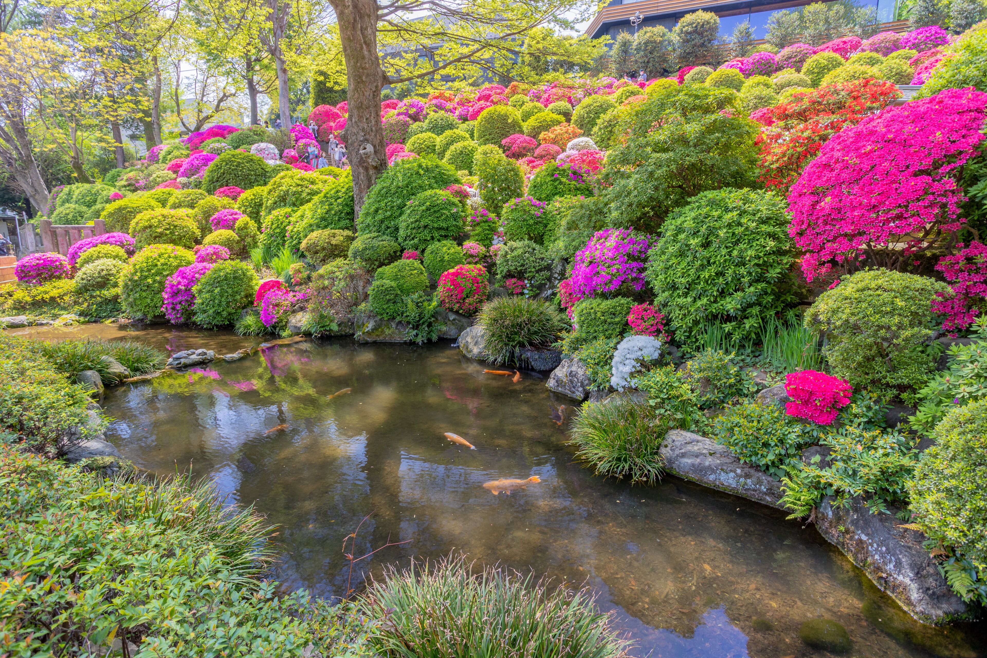 Foto - The Westin Tokyo