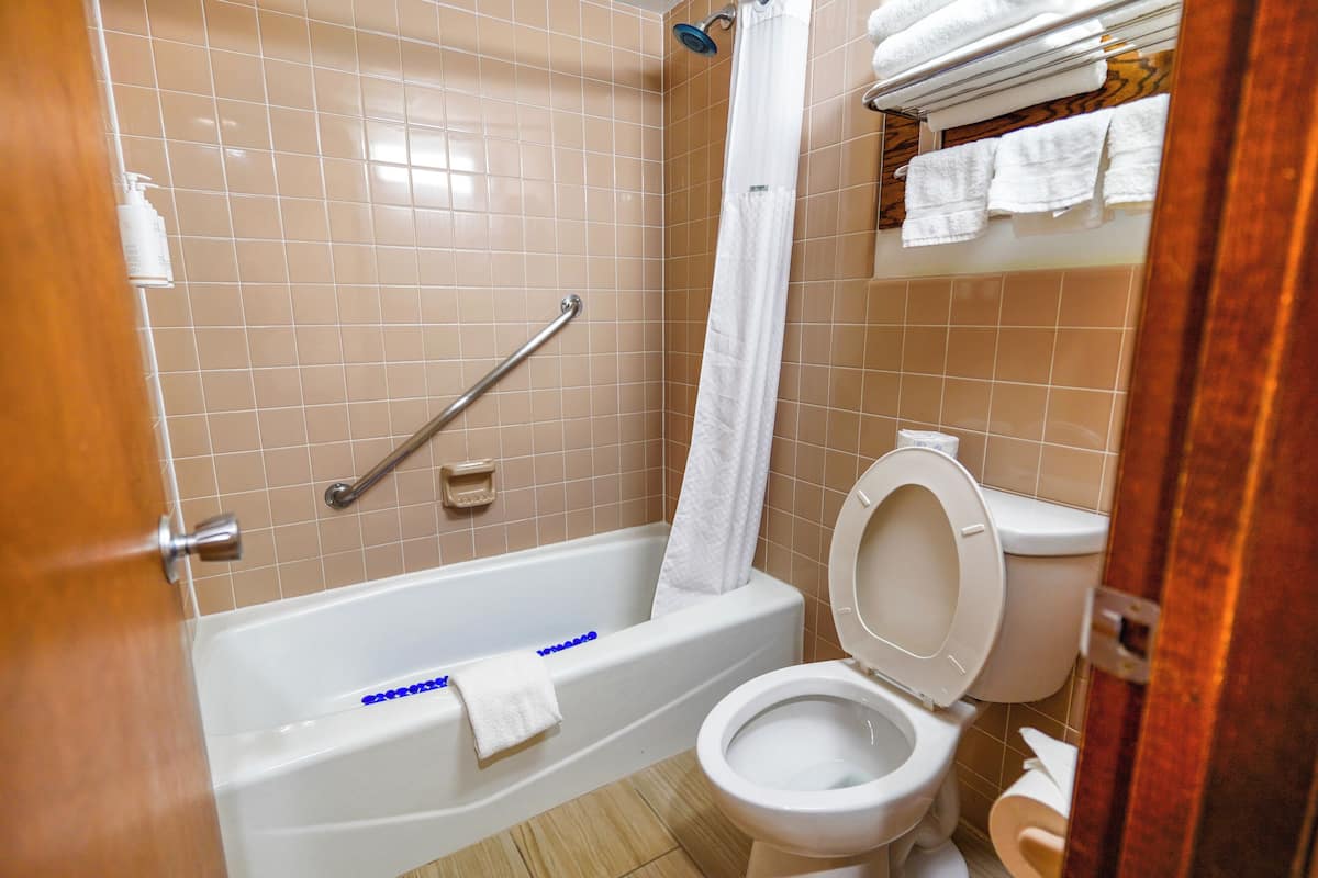 combined shower/bathtub, free toiletries, hair dryer, towels