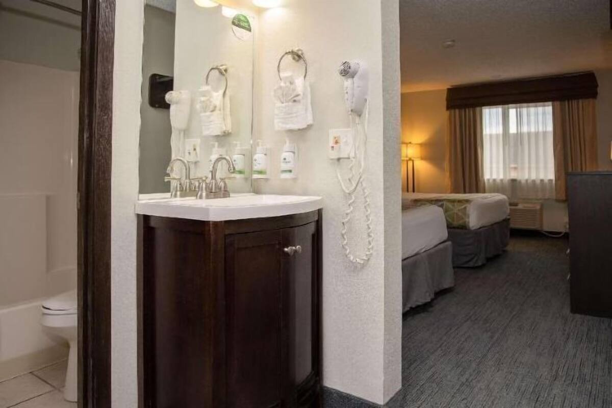 Bathroom | Combined shower/tub, free toiletries, hair dryer, towels