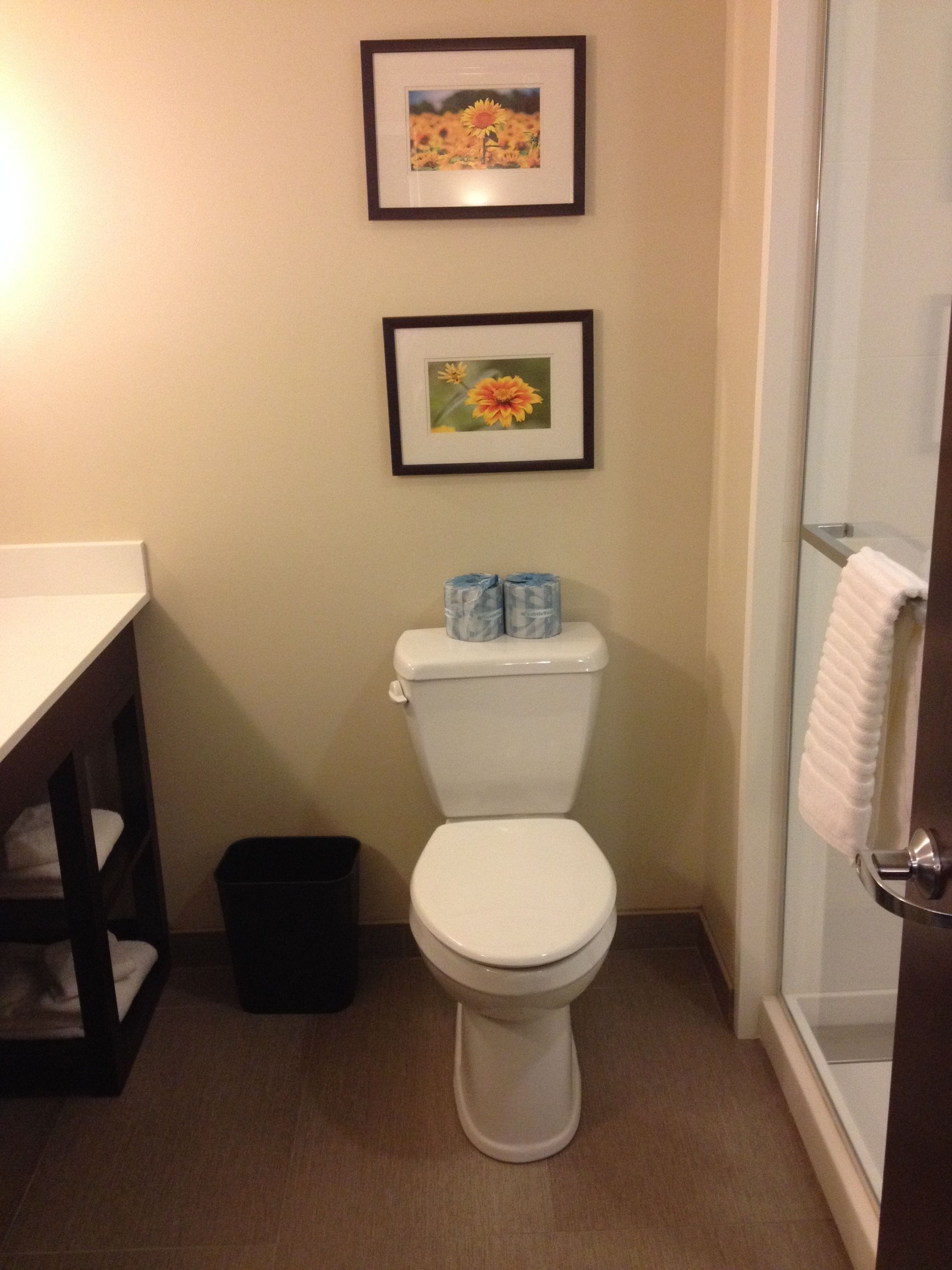 free toiletries, hair dryer, towels