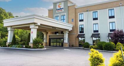 Comfort Suites Youngstown North