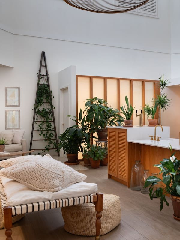 2 bars/lounges, poolside bar