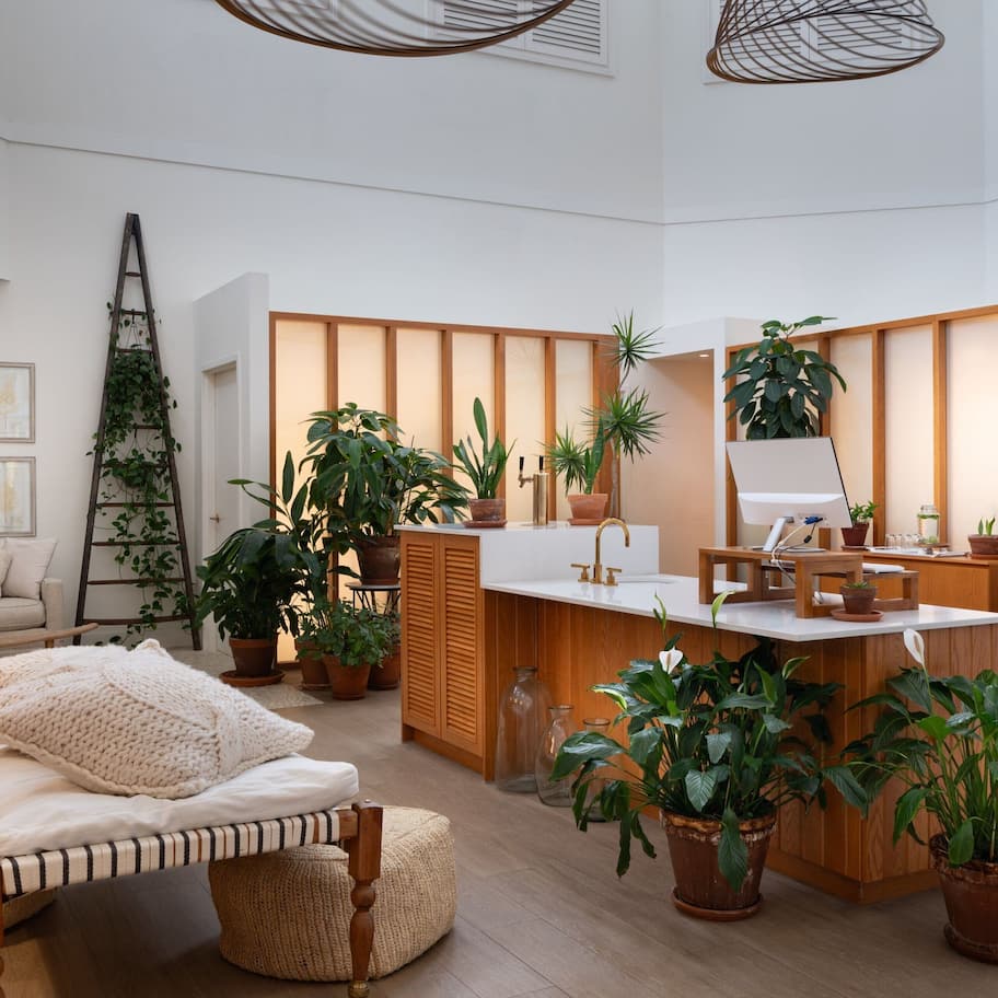 身体护理、深层组织按摩、体膜护理、身体磨砂、面部护理、2 ???